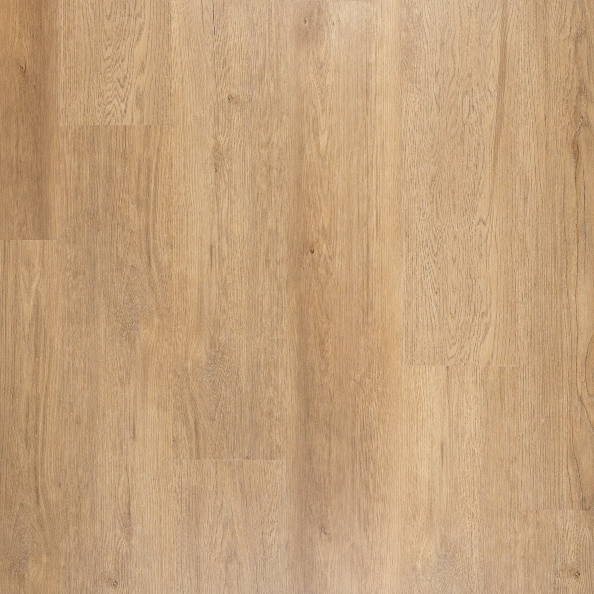 Otium at Home, Lux