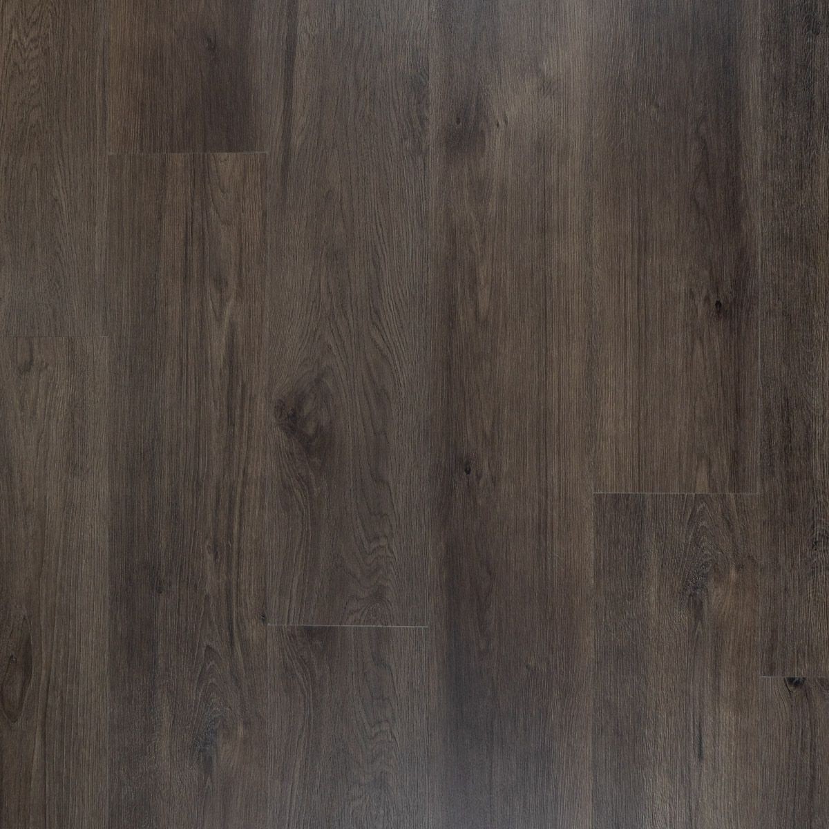 Otium at Home, Opal