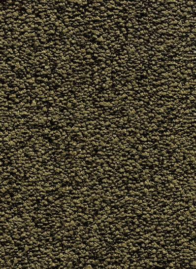 Kleur 40