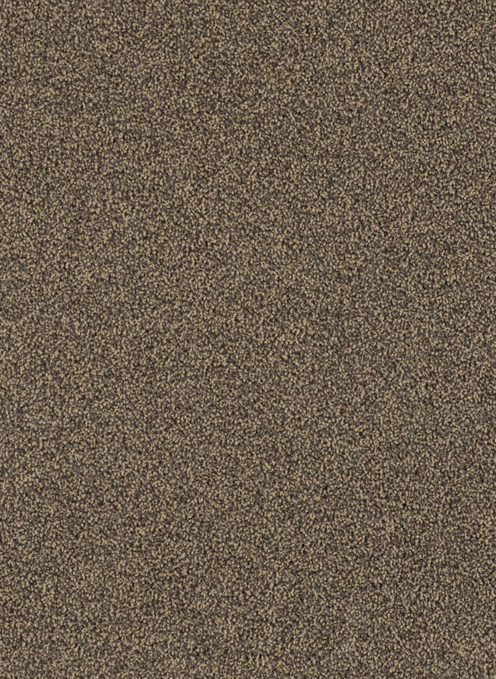 Kleur 43